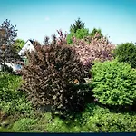 Messeapartment Sunny Side